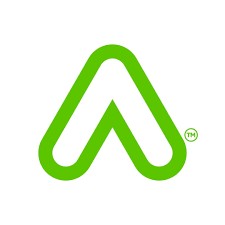 palmy__placeholder_logo.png